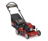 20384-PersonalPaceElectricStart 20384-PersonalPaceElectricStart
